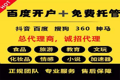 成功运用SEM技术提升网站流量的案例研究